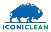 Iconiclean Co. Logo